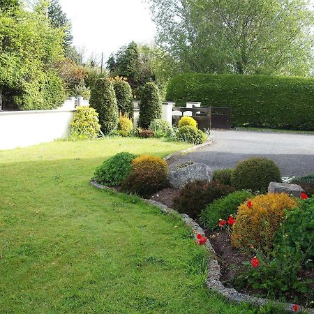Maryville Bed And Breakfast Nenagh Εξωτερικό φωτογραφία