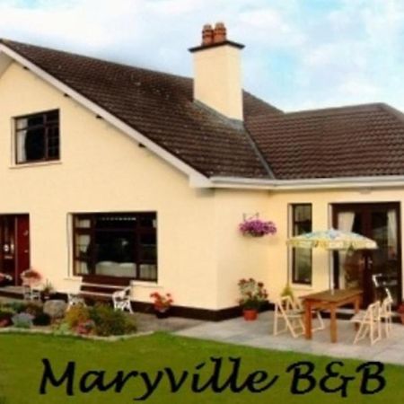 Maryville Bed And Breakfast Nenagh Εξωτερικό φωτογραφία