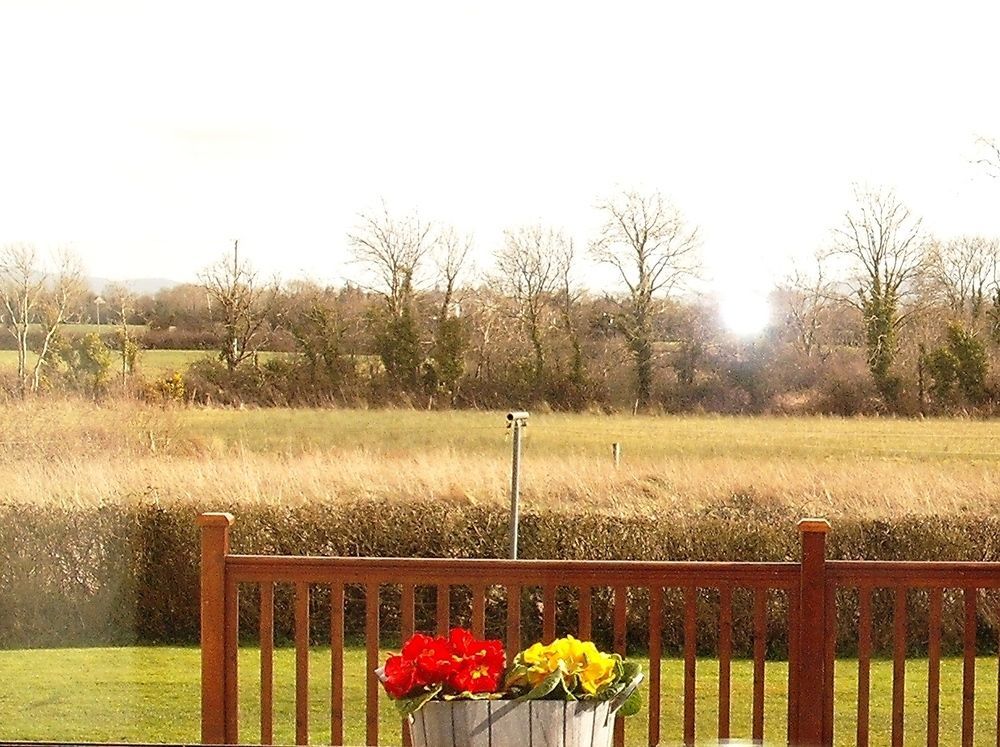 Maryville Bed And Breakfast Nenagh Εξωτερικό φωτογραφία