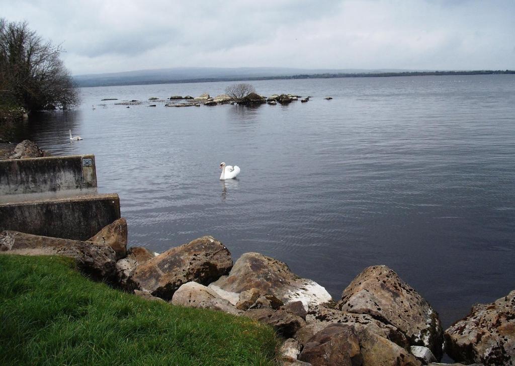 Maryville Bed And Breakfast Nenagh Εξωτερικό φωτογραφία